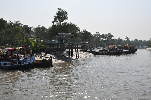 Honeymoon Destinations in India - Sundarban
